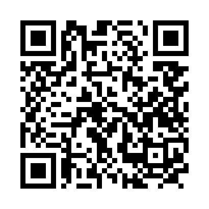 QR code linking to the Night Falls programme PDF